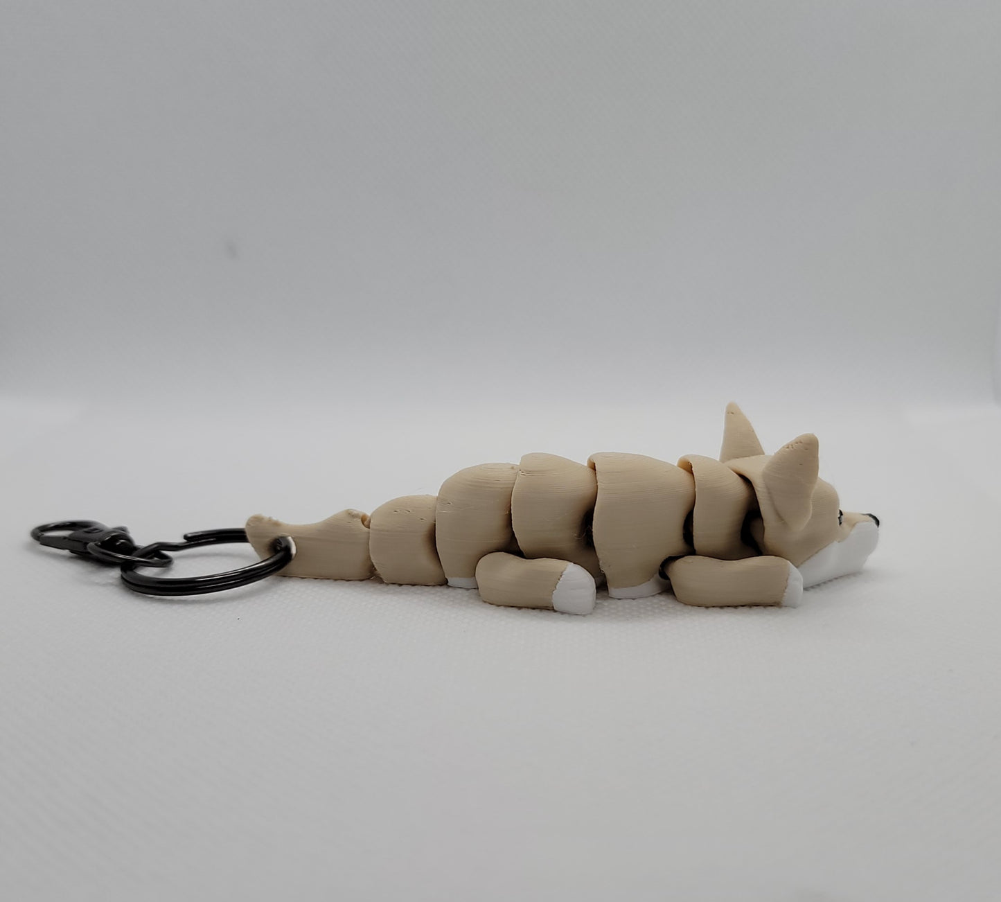 Articulated Chihuahua