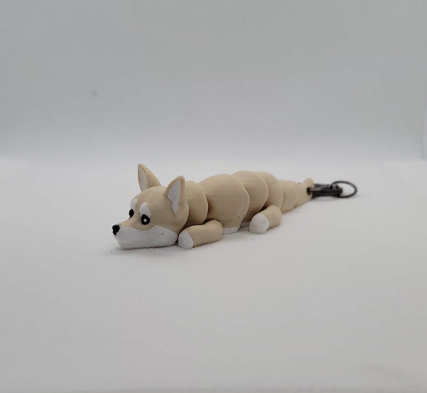 Articulated Chihuahua