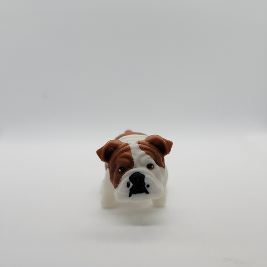 Articulated English Bulldog professional background